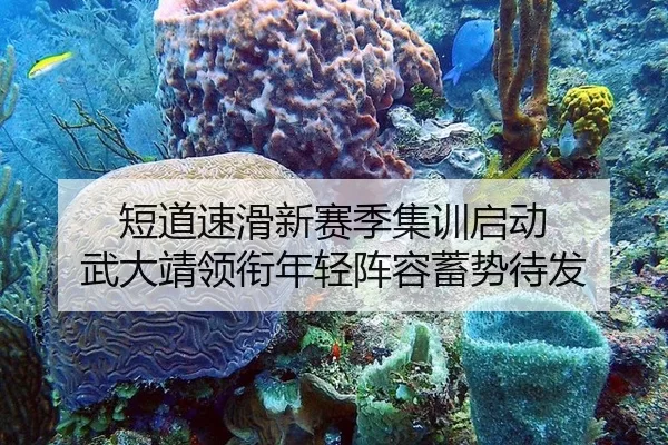 短道速滑新赛季集训启动 武大靖领衔年轻阵容蓄势待发